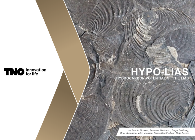 image-20231117143936-1